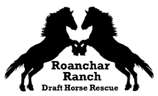 Roanchar Ranch Draft Horse Rescue