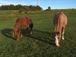 Maggie and Roanie